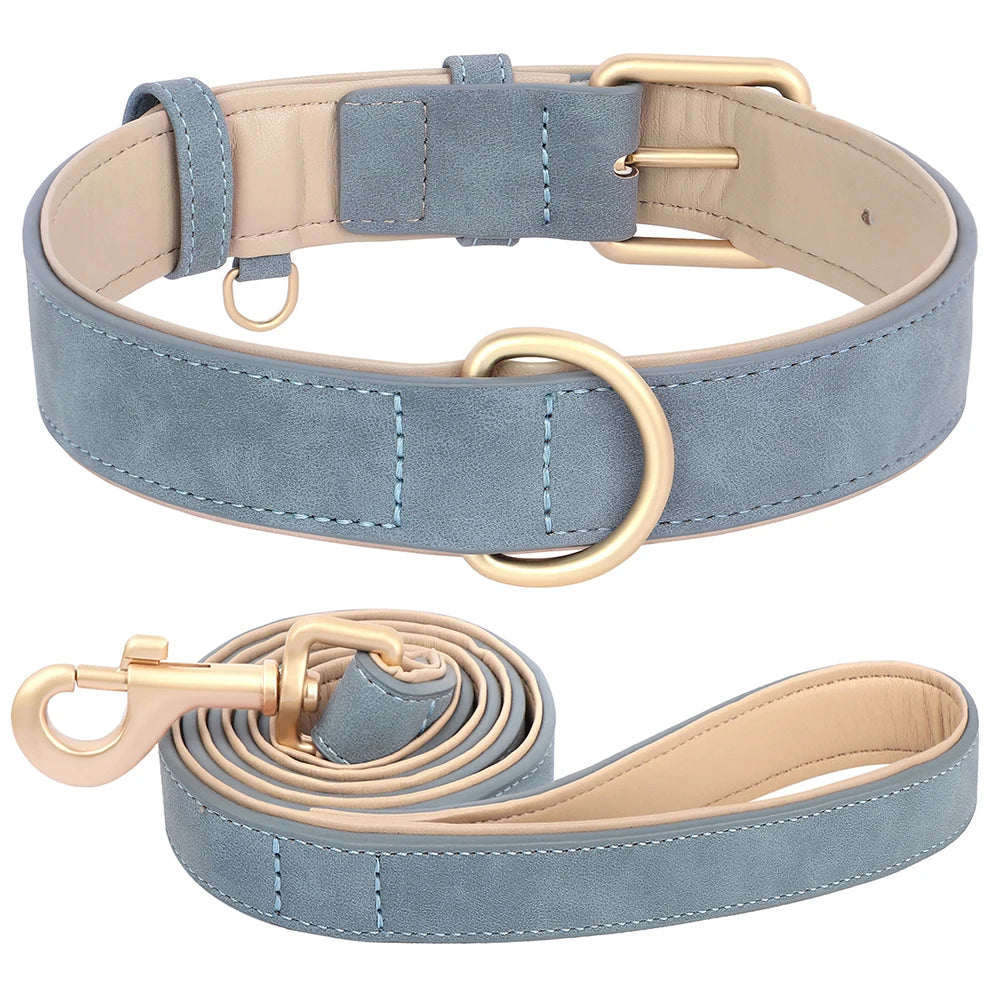 Soft Padded Leather Dog Collar & Leash Set