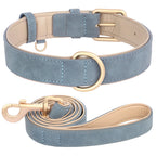 Soft Padded Leather Dog Collar & Leash Set
