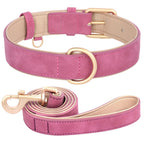 Soft Padded Leather Dog Collar & Leash Set