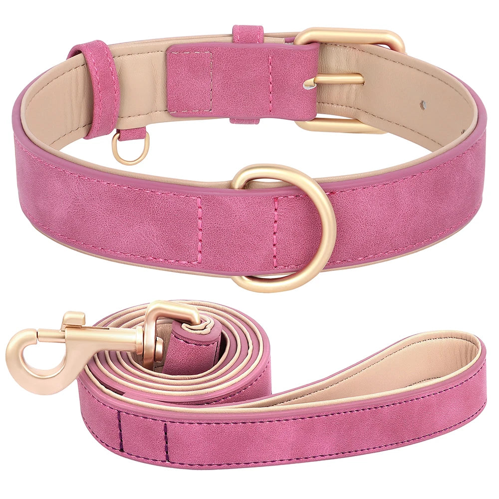 Soft Padded Leather Dog Collar & Leash Set