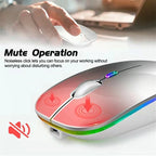 Wireless RGB LED Mouse