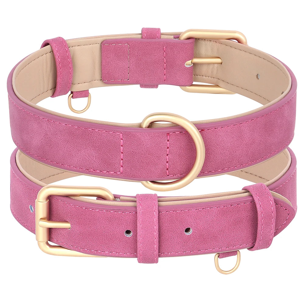 Soft Padded Leather Dog Collar & Leash Set
