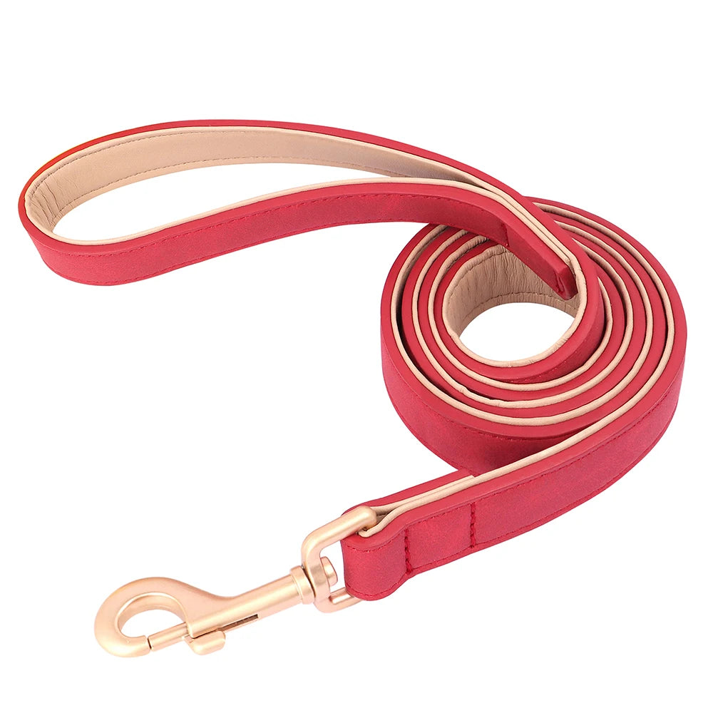 Soft Padded Leather Dog Collar & Leash Set