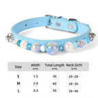 DIY Pearl Pet Collar