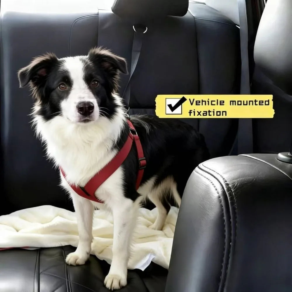 Adjustable Dog Car Seat Belt & Harness