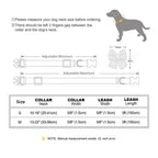 Bowknot Dog Collar & Leash Set