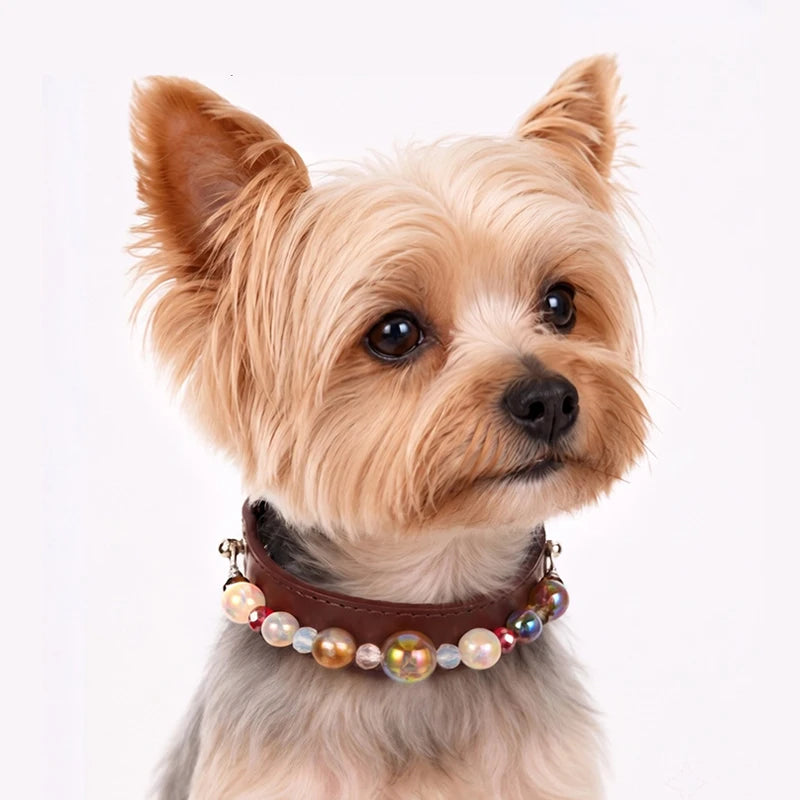 DIY Pearl Pet Collar