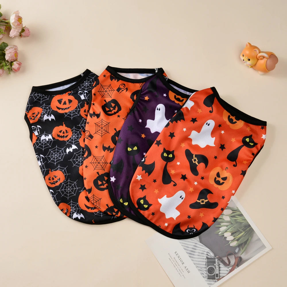 Cat & Small Dog Halloween Costume