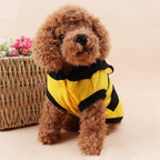 Bee Halloween Hoodie for Dogs & Cats
