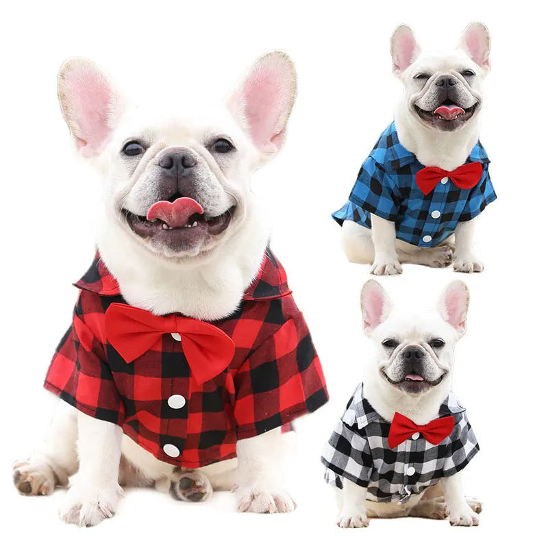 Plaid Shirt & Bow Tie Pet Costume