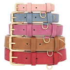 Soft Padded Leather Dog Collar & Leash Set
