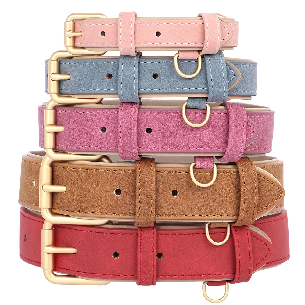 Soft Padded Leather Dog Collar & Leash Set