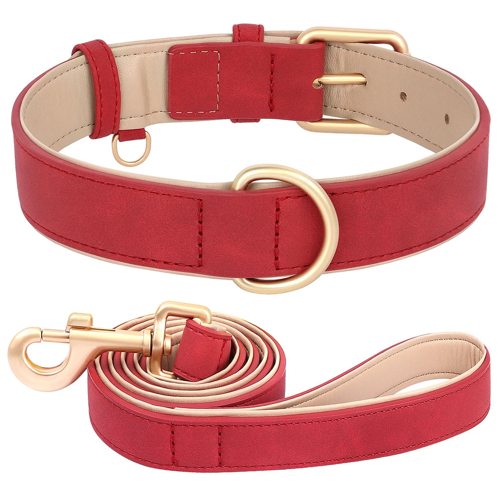 Soft Padded Leather Dog Collar & Leash Set
