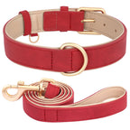 Soft Padded Leather Dog Collar & Leash Set