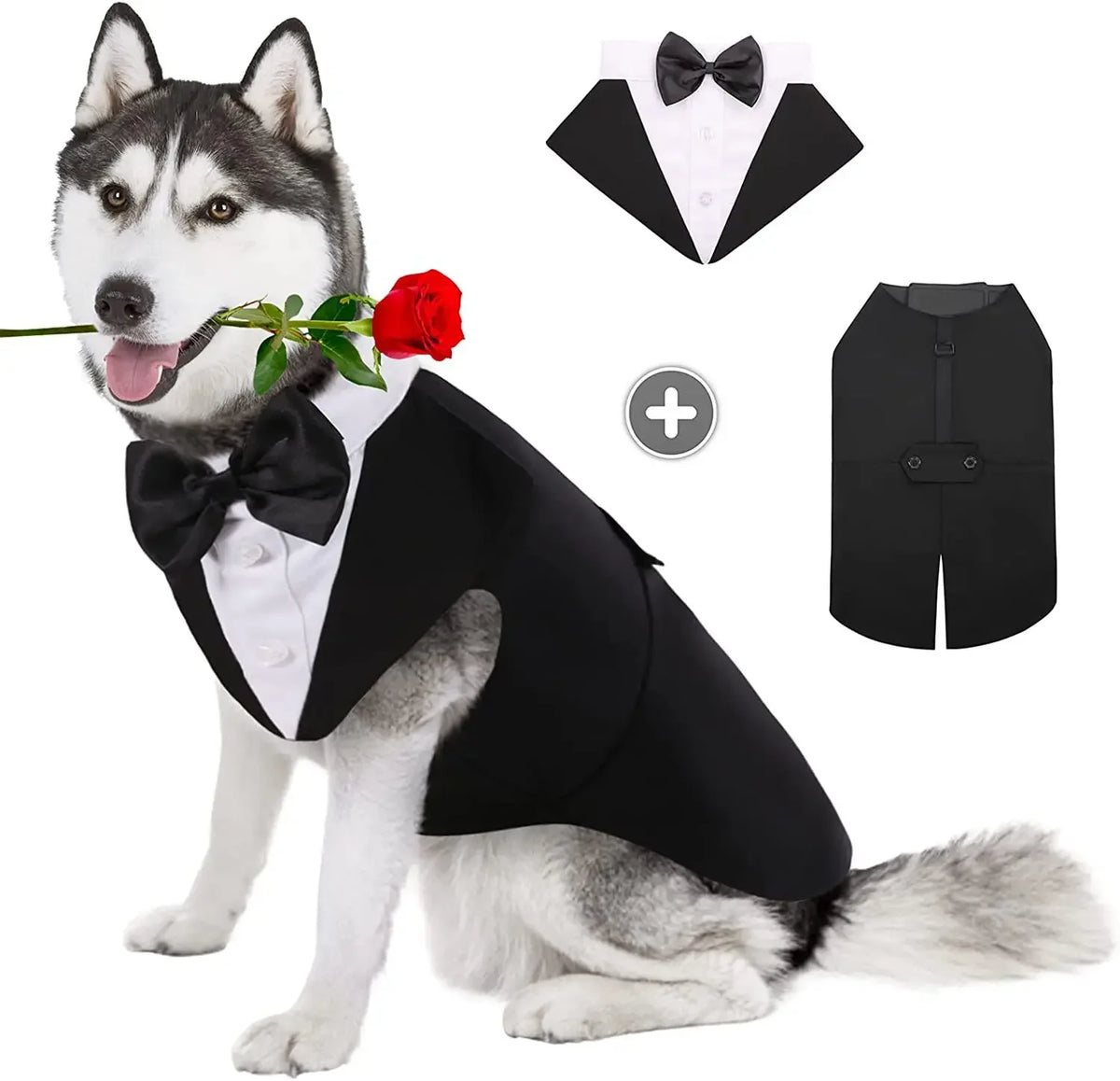 Dog Tuxedo & Bow Tie