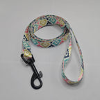Colorful Printed Dog Collar & Leash Set