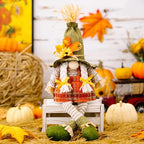 Thanksgiving Scarecrow Gnome