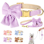 Bowknot Dog Collar & Leash Set