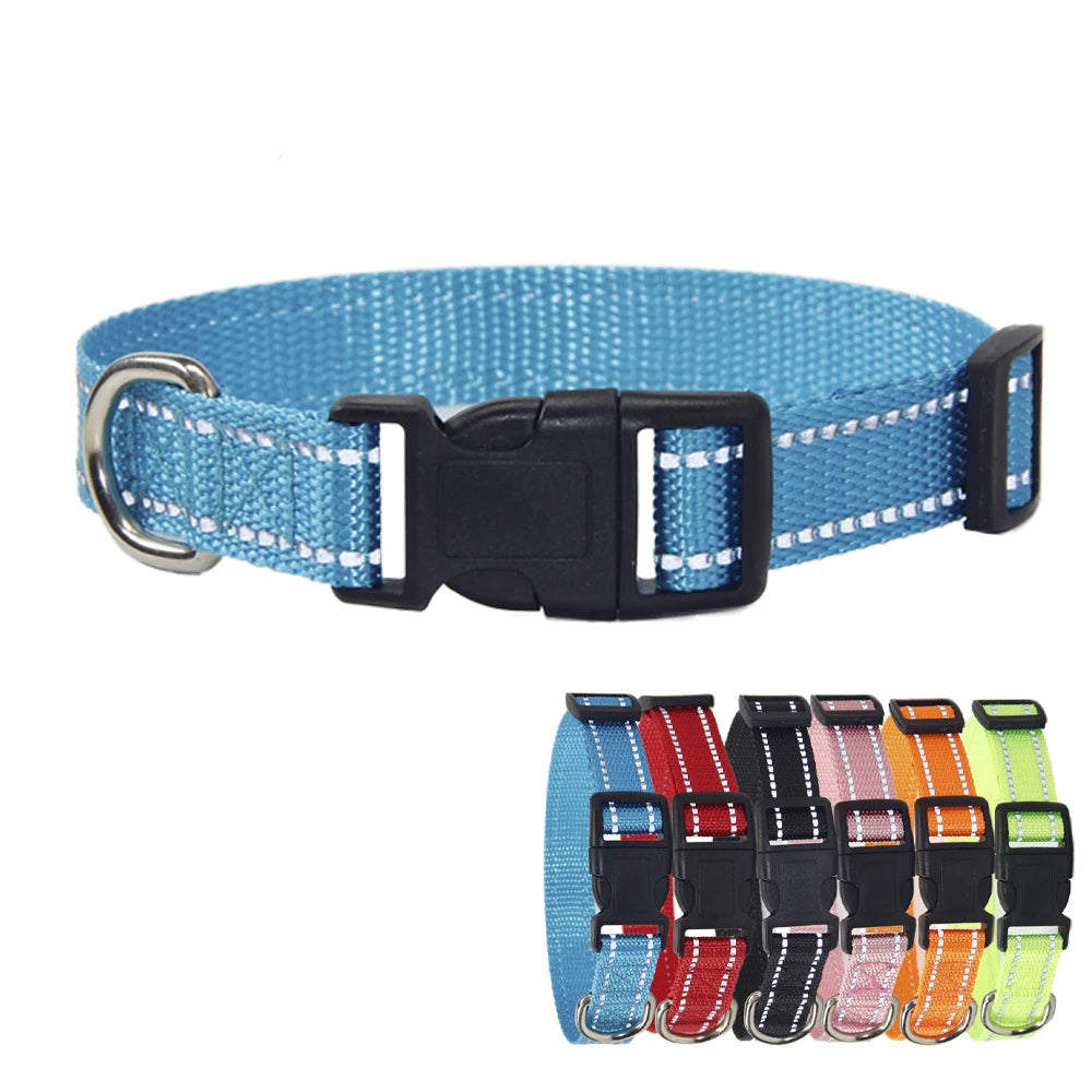 Nylon Dog Collar & Leash Set