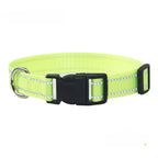Nylon Dog Collar & Leash Set
