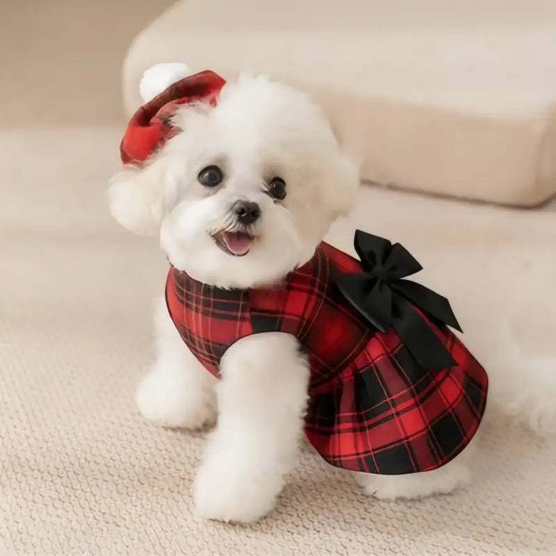 Plaid Dog Shirt & Tie