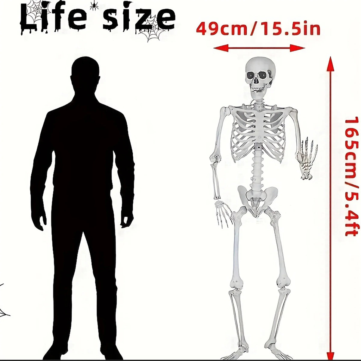 Halloween Fake Skeleton Sculpture