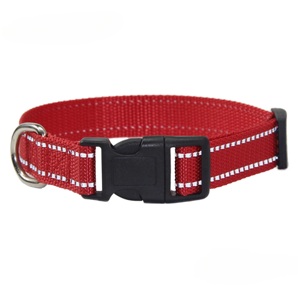 Nylon Dog Collar & Leash Set