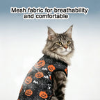 Cat & Small Dog Halloween Costume