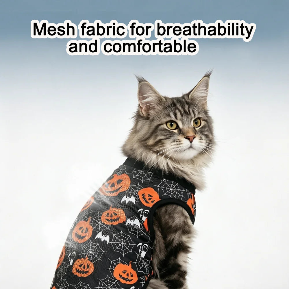 Cat & Small Dog Halloween Costume