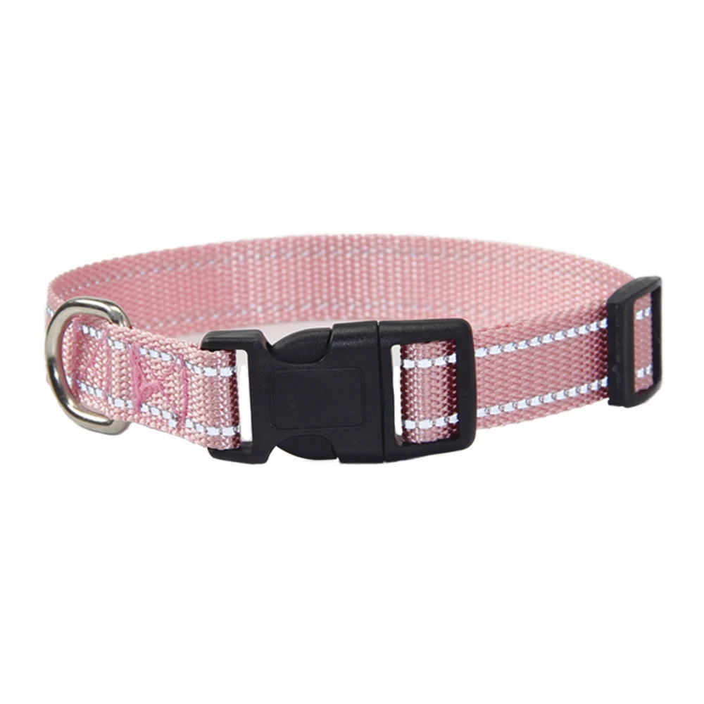 Nylon Dog Collar & Leash Set
