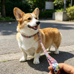Colorful Printed Dog Collar & Leash Set