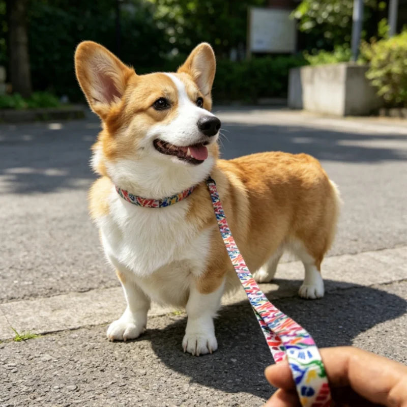 Colorful Printed Dog Collar & Leash Set