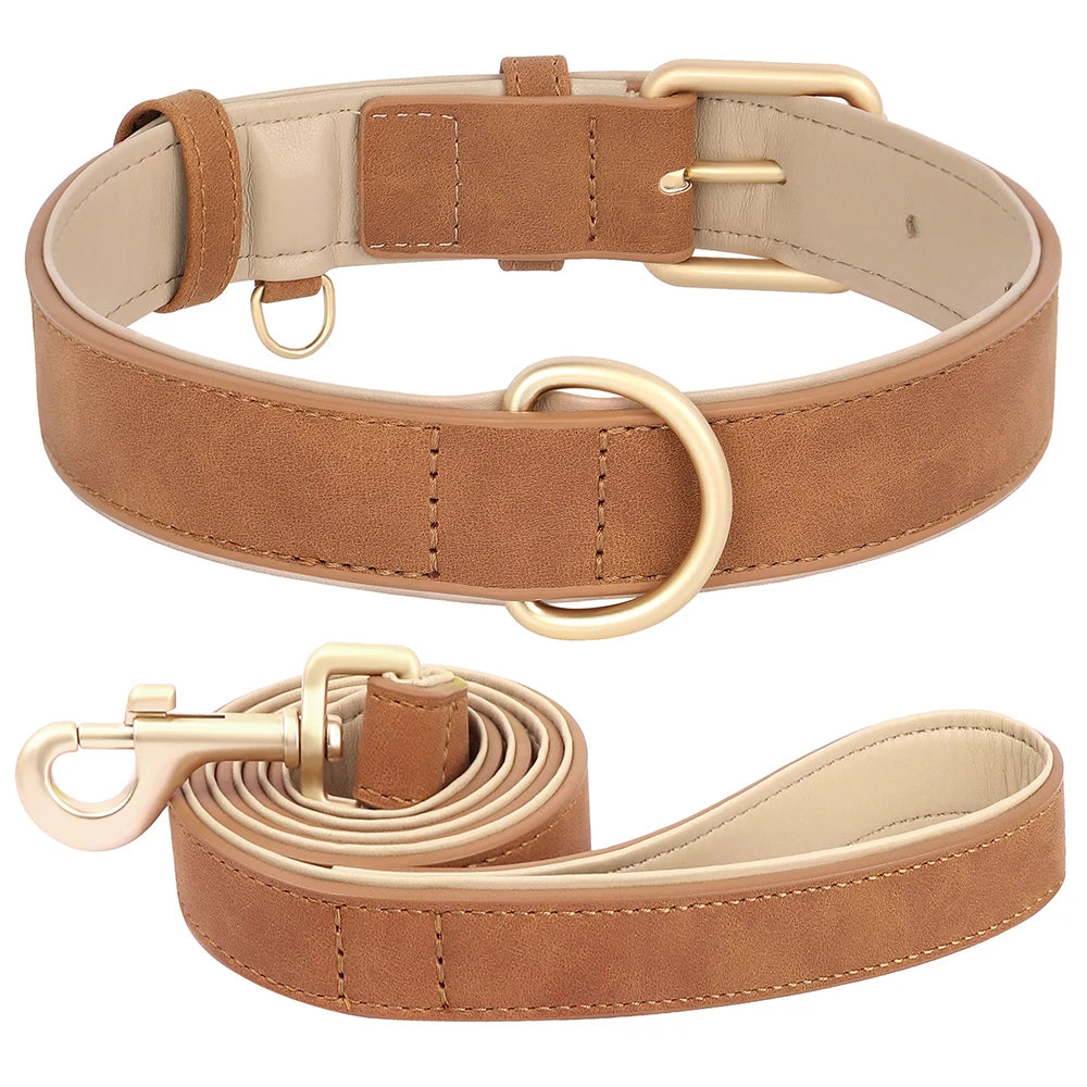 Soft Padded Leather Dog Collar & Leash Set