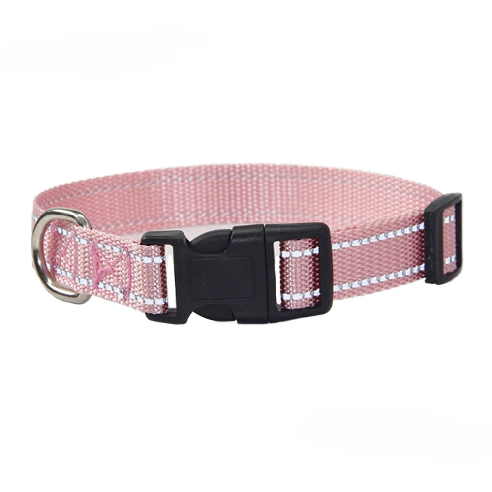 Nylon Dog Collar & Leash Set