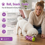 Treat Dispensing Roller Toy
