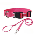 Nylon Dog Collar & Leash Set