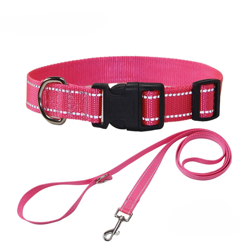 Nylon Dog Collar & Leash Set