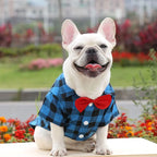 Plaid Shirt & Bow Tie Pet Costume