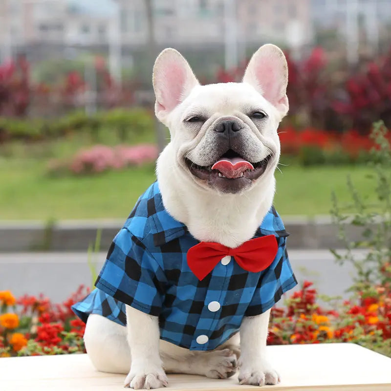 Plaid Shirt & Bow Tie Pet Costume