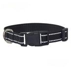 Nylon Dog Collar & Leash Set