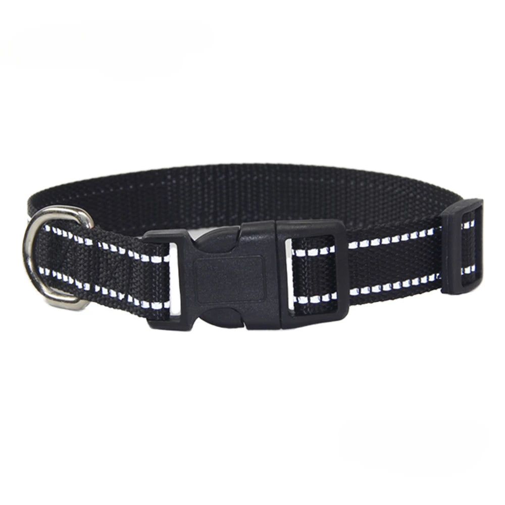Nylon Dog Collar & Leash Set