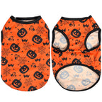 Cat & Small Dog Halloween Costume